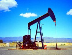 TPAO Karaçoban'da petrol arayacak!..