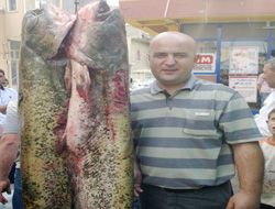 Bu balıklar Erzurum'da!..