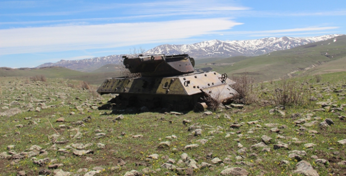 Erzurum'da 70 yıllık tanklara doğa sahip çıkıyor