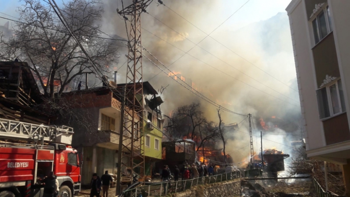 Artvin'de korkutan yangın