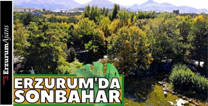 Ata Botanik Parkı'nda renk cümbüşü!