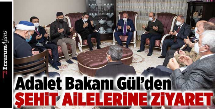 Bakan Gül, şehit ailelerini ziyaret etti