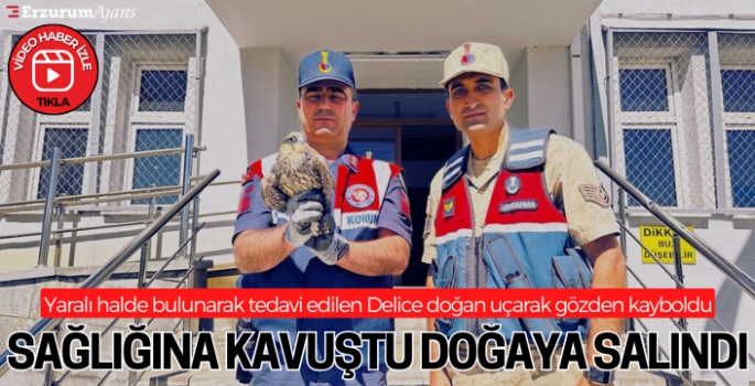 Delice doğan doğal yaşam alanına bırakıldı