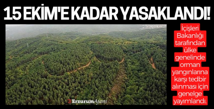 Erzurum'da ormanlık alanlara girişler yasaklandı!
