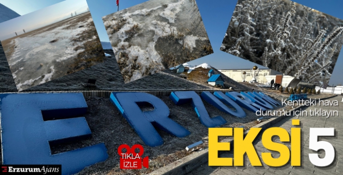 Erzurum hava buz kesti