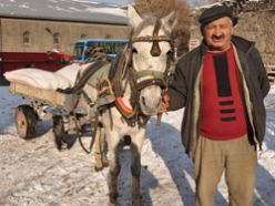 Erzurum`da at arabasına rekor ceza
