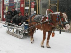 Atlı kızak ulaşımda engel tanımıyor