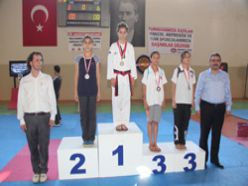 İller arası taekwondo turnuvası sona erdi