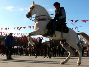 Erzurumlu ciritçiler Afrin harekatına destek verdi