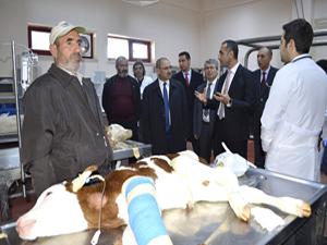 Başkan Demir, Hayvan Hastanesi'ni ziyaret etti