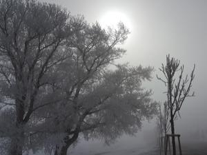 Doğu Anadolu'da soğuk hava: Ağrı eksi 12