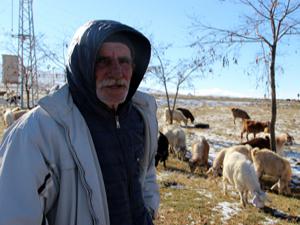 Doğu'da hayvancılıkla geçimini sağlayanların kış çilesi