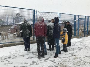 Erzurumda gönüllü vatandaşlar doğaya yem bıraktı