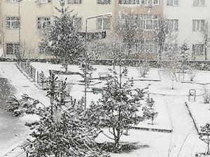 Erzurum'da Nisan ayında kar sürprizi