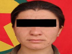 PKK Bingöl`deki patlamayı üstlendi