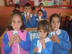 Erzurum'da süt zehirledi