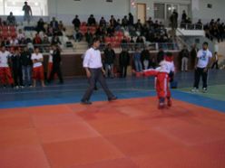 Erzurum`da kick boks heyacanı