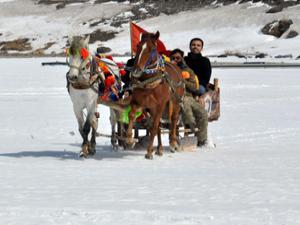 Kars'ta 40 santim buz tutan göl üzerinde atlı kızak keyfi