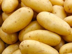 KKTC'de bir kilo patates 25 lira