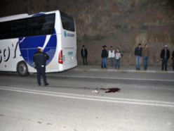 Gümüşhane`de trafik kazası 1 ölü