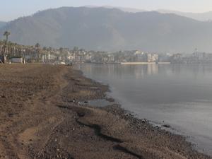 Marmaris'te korkutan görüntü!