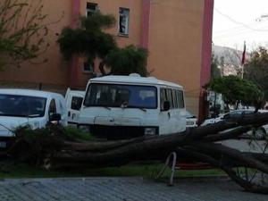 Meteoroloji'den son dakika uyarısı! Kuvvetli olacak