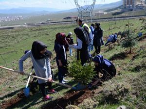 Palandöken Belediyesi fidan dikim seferberliği başlattı