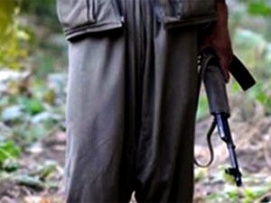 Terör örgütü PKK iyice köşeye sıkıştı