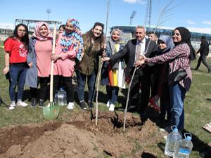 Uçurtmalar eşliğinde fidan dikimi