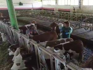 Veteriner hekimlere video klipli kutlama
