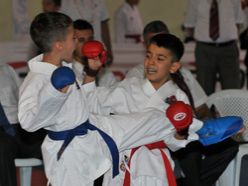 Türkiye minikler karate şampiyonası