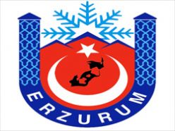 Erzurum'da yılbaşı tedbirleri