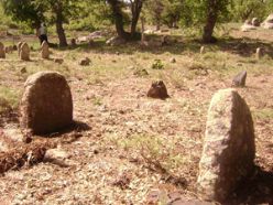 Erzurum'da define avcıları mezar kazdı
