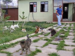 Erzurum'da artık kedilerinde bir evi var