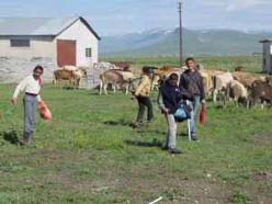 Çobanlık yapan çocuklar okulların açılmasını bekliyor