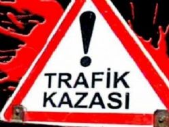 Otobüsün çarptığı küçükbaş hayvan telef oldu