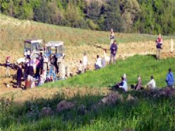 Horasan'da arazi kavgası: 2 yaralı