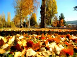 AÜ'de muhteşem sonbahar görüntüleri