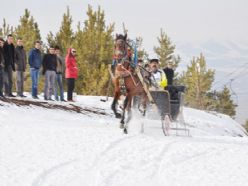 Buzlu zeminde atlı kızak Türkiye şampiyonası