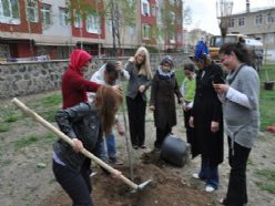 Palandöken'de yeşil seferberlik