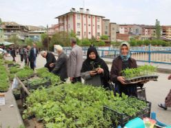 Kurak hava fidecileri etkiliyor