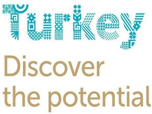 İşte Türkiye'nin yeni logosu