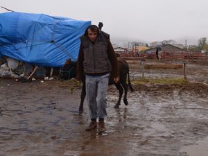 Erzurum hayvan pazarı çamur deryasına döndü