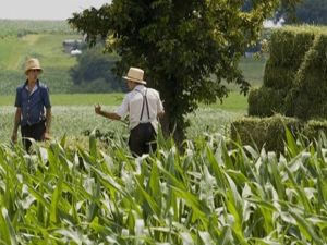 Tarım ÜFE Eylül ayında yüzde 2,29 arttı