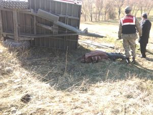 Aşkale'de traktör şarampole yuvarlandı: 1 ölü
