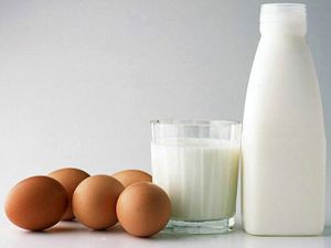 Süt ve yumurta üretimi arttı