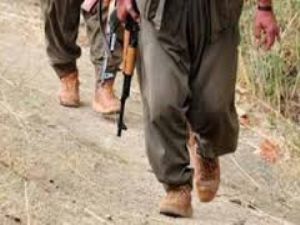 PKK, bu kez Oltu-Göle yolunu kesti 3 TIR'ı yaktı