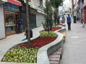 Erzurum'da cadde ve sokaklar çiçek açtı