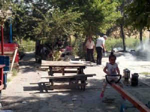 Erzurum'da piknikçilere kene uyarısı!