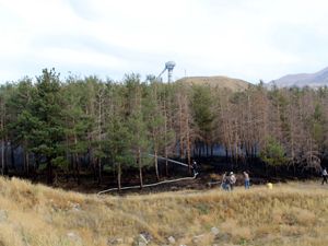 Erzurum'da orman yangını korkuttu